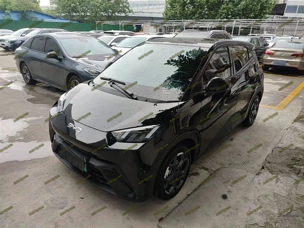 BYD Seagull 2024