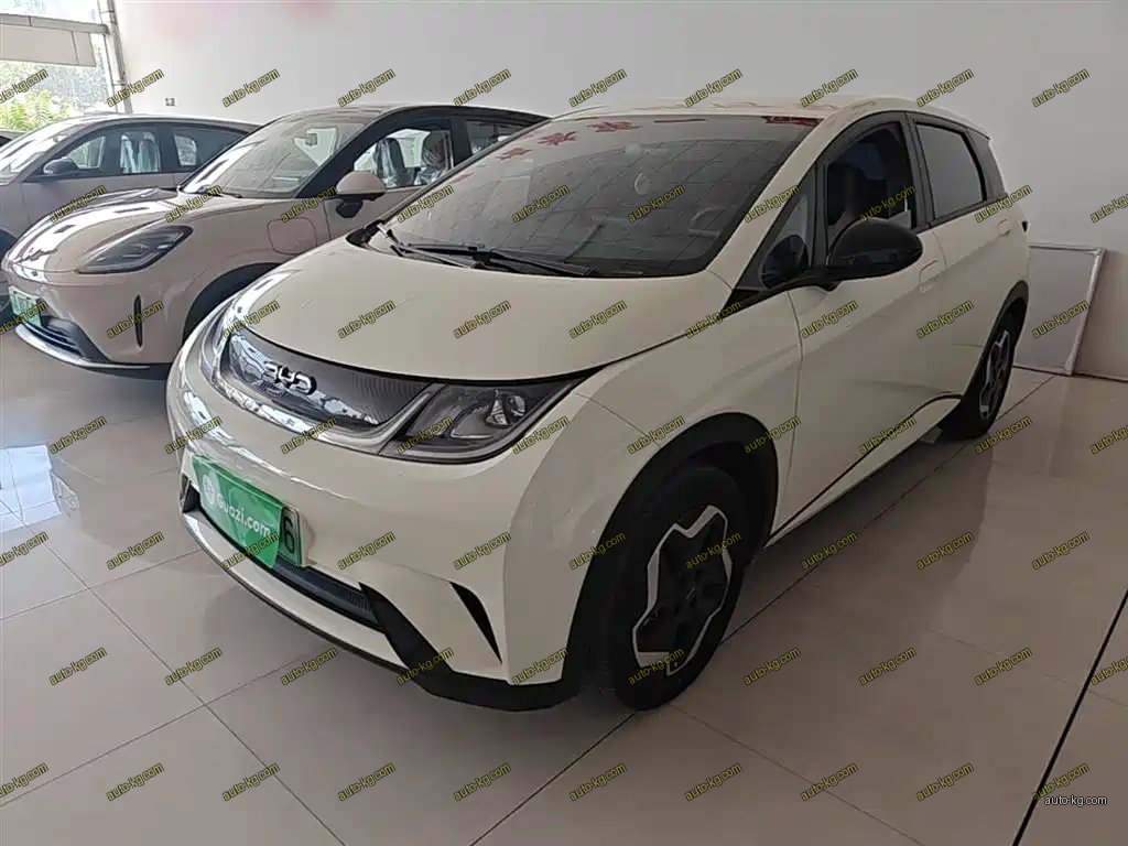 BYD Dolphin 2024