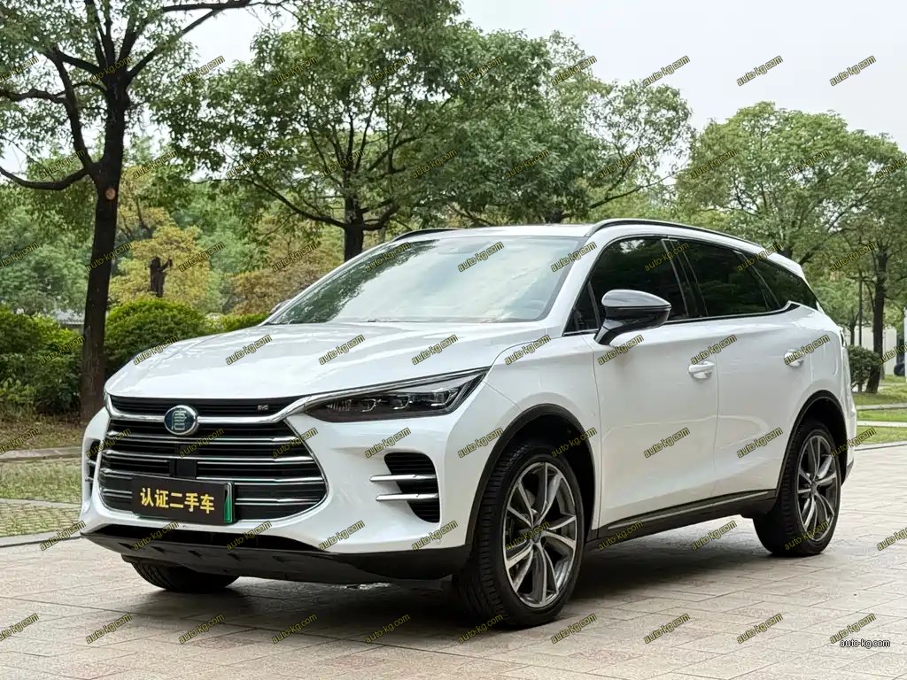 BYD Tang New Energy 2020