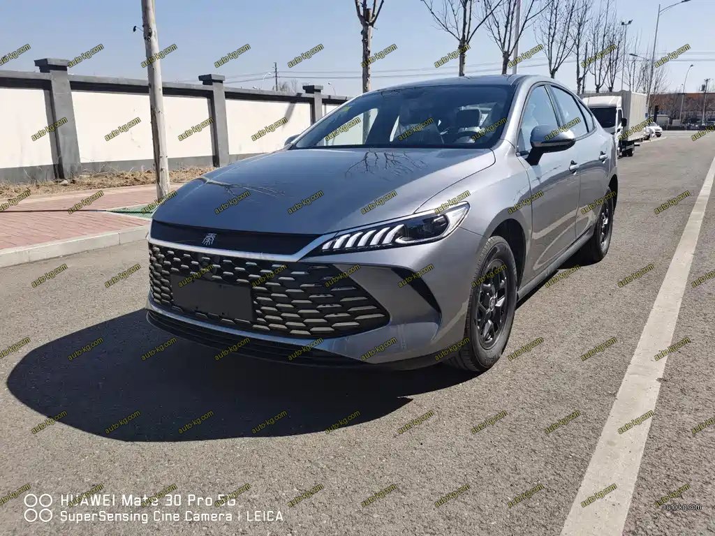 BYD Qin PLUS 2026