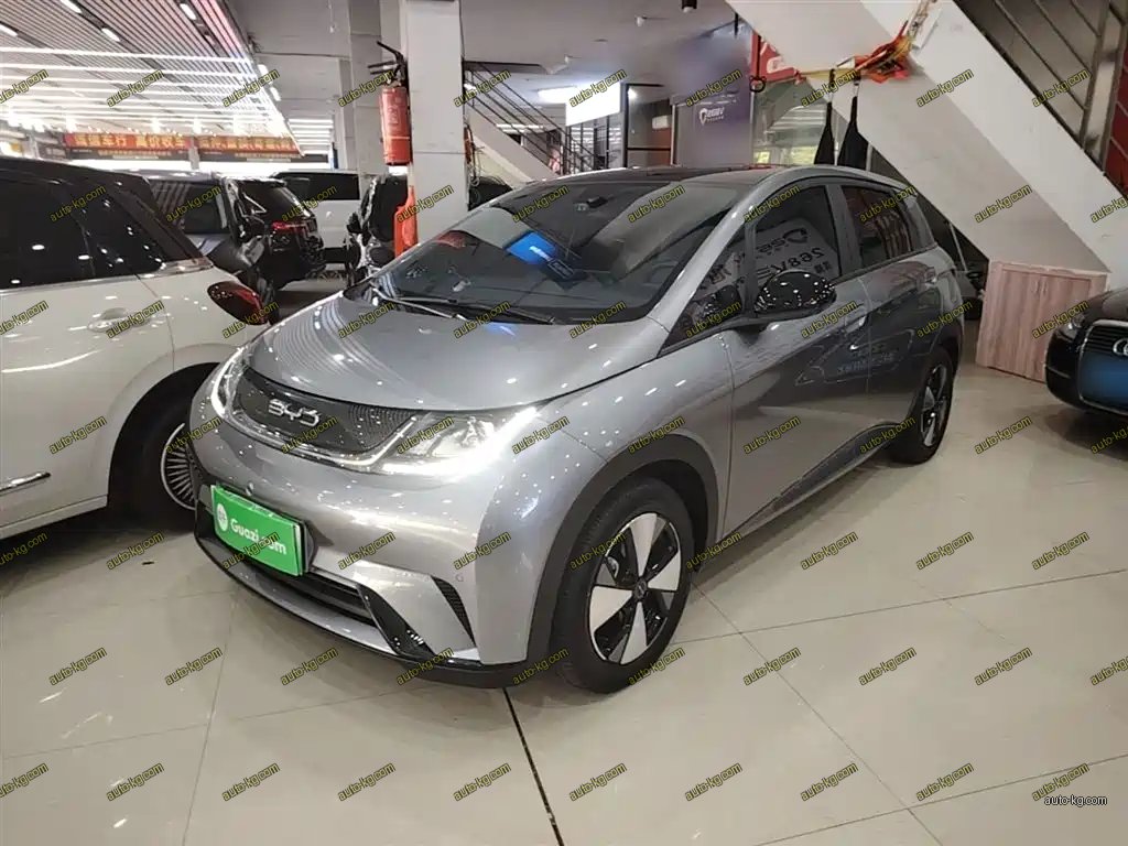 BYD Dolphin 2024