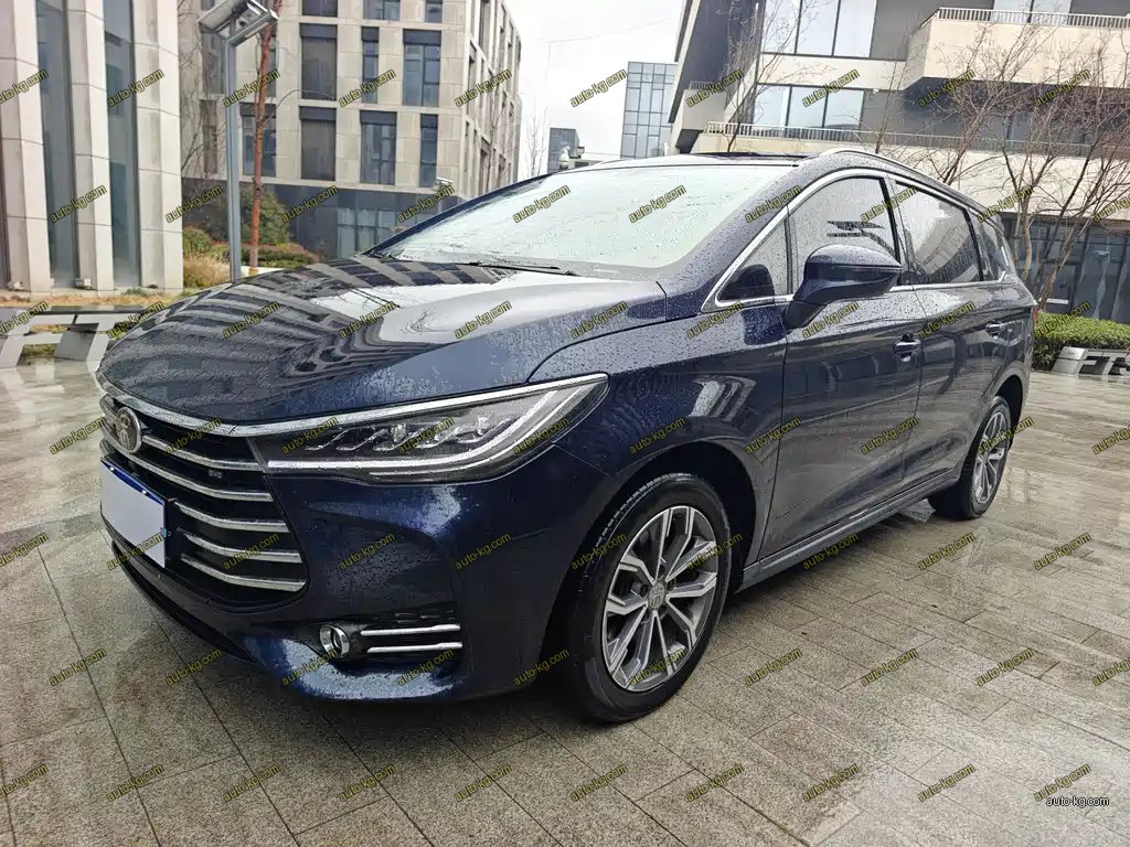 BYD MAX 2020