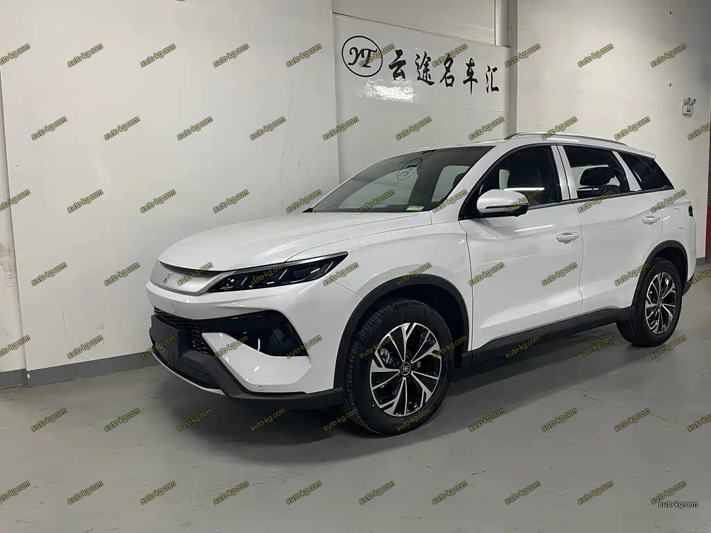 BYD Pro New Energy 2025