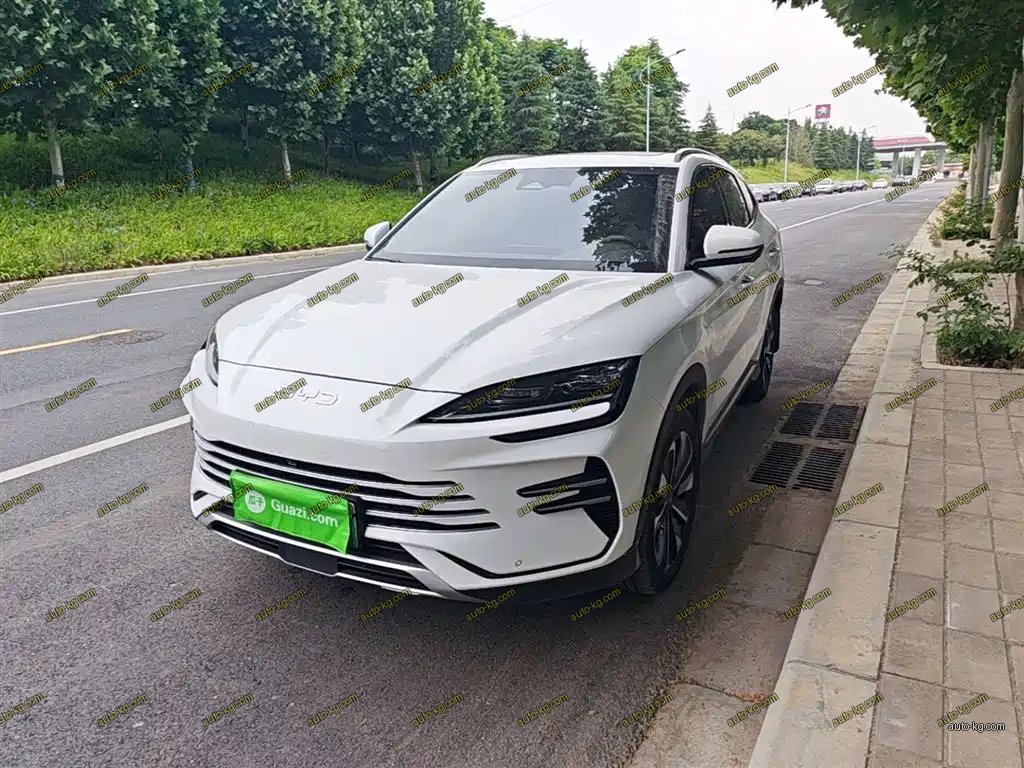 BYD PLUS New Energy 2024