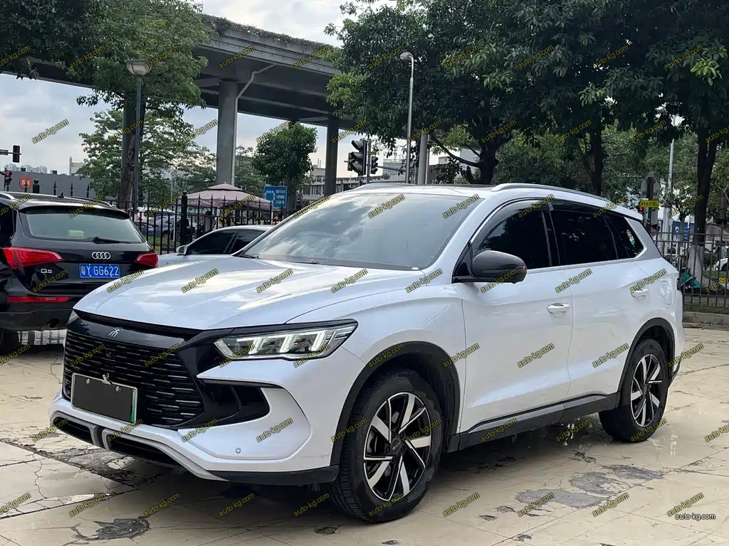 BYD Pro New Energy 2024