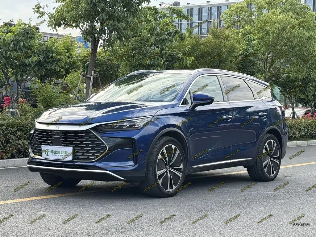 BYD Tang New Energy 2022