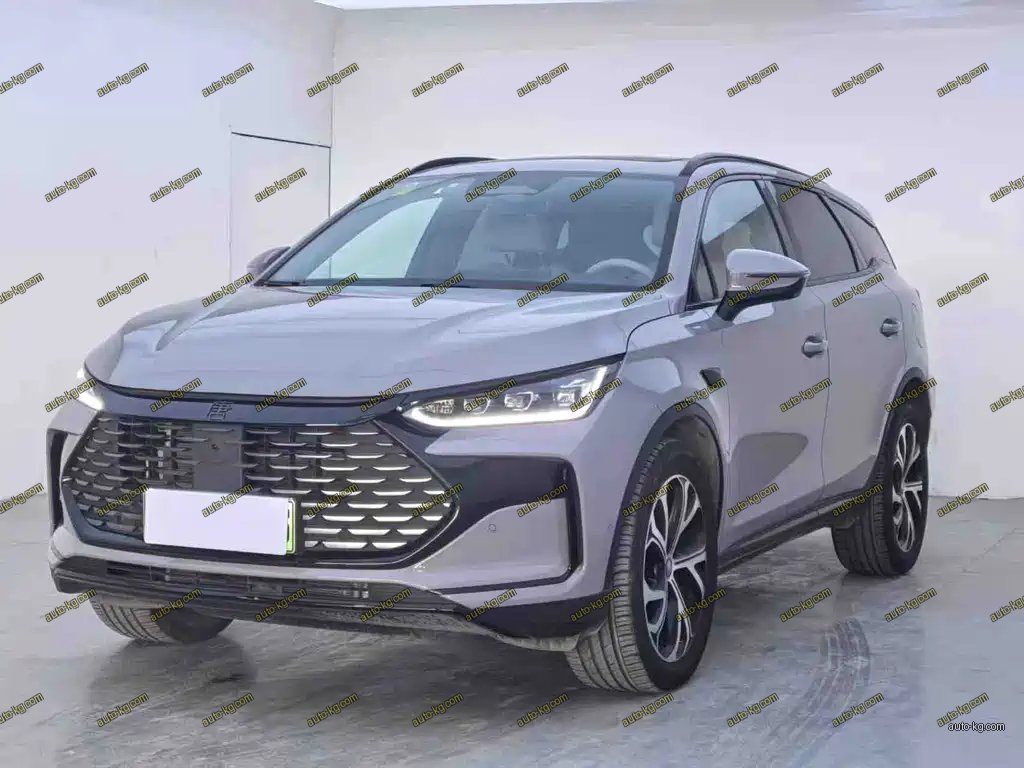 BYD Tang New Energy 2025