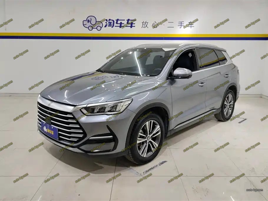 BYD Pro 2021