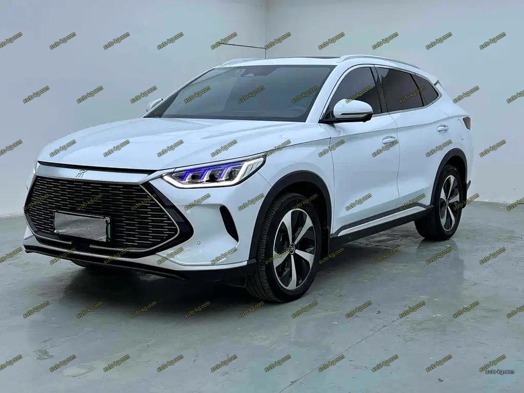 BYD PLUS New Energy 2023