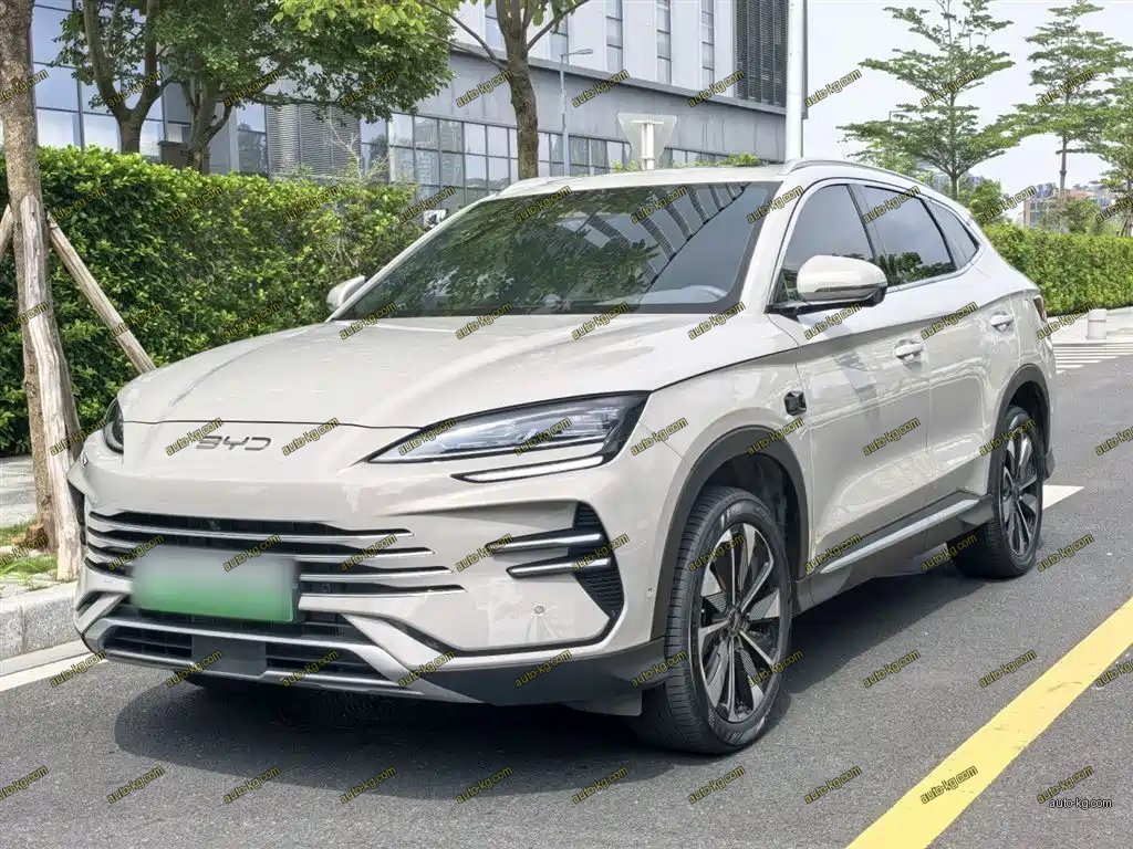 BYD PLUS New Energy 2025