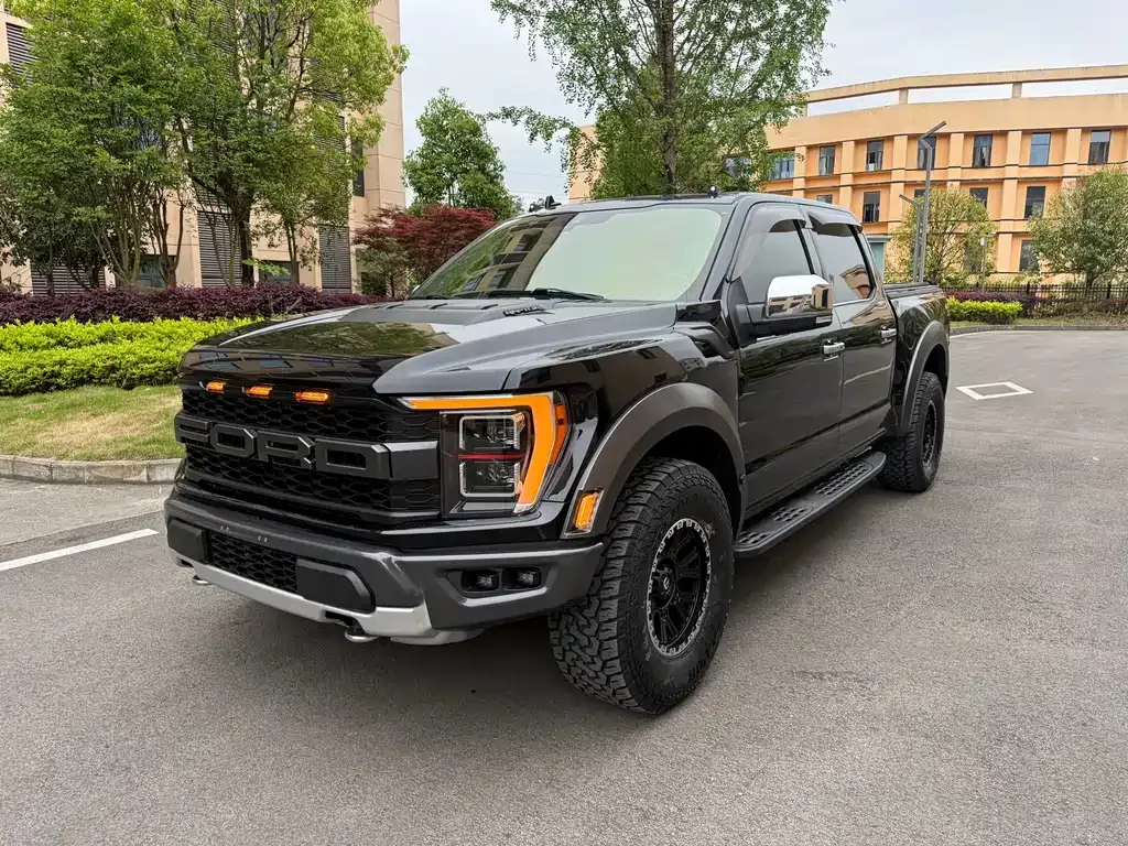 Ford F-150 Raptor 2019 — фото 1 из 9