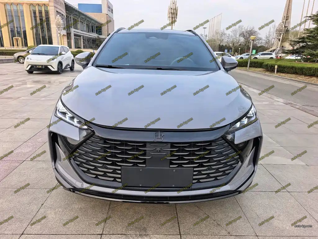 BYD Tang New Energy 2025