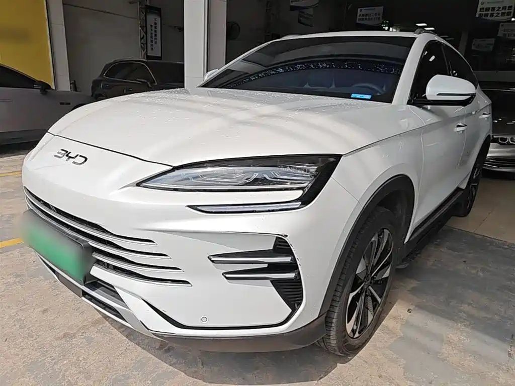 BYD PLUS New Energy 2025