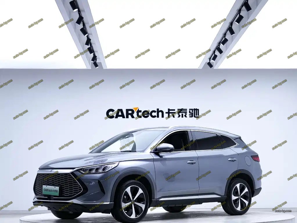 BYD PLUS New Energy 2022