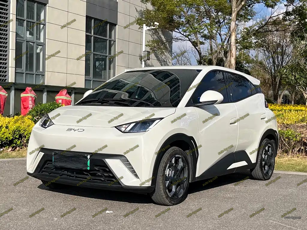 BYD Seagull 2025