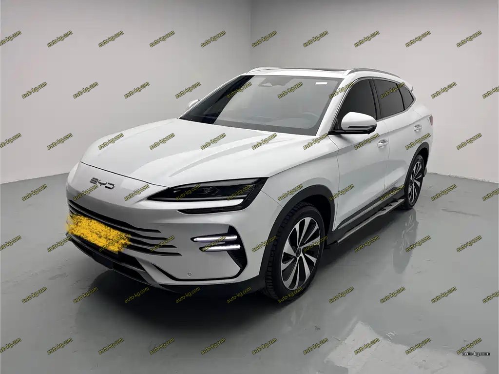 BYD PLUS New Energy 2024