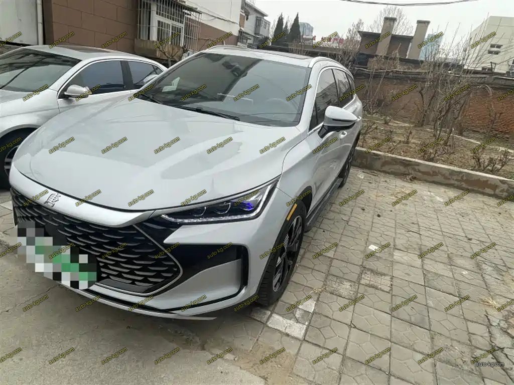 BYD Tang New Energy 2024