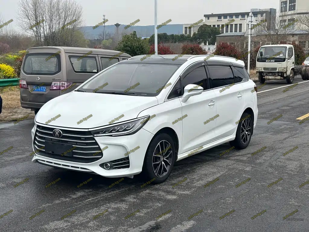 BYD MAX 2018