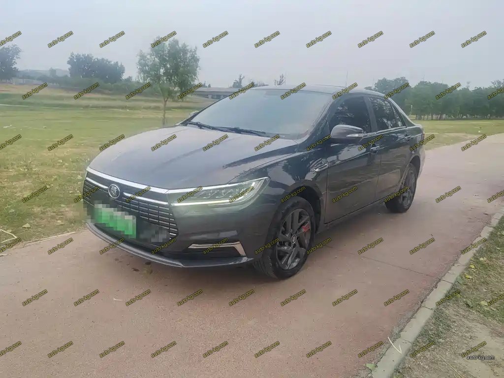 BYD Qin NEV 2020