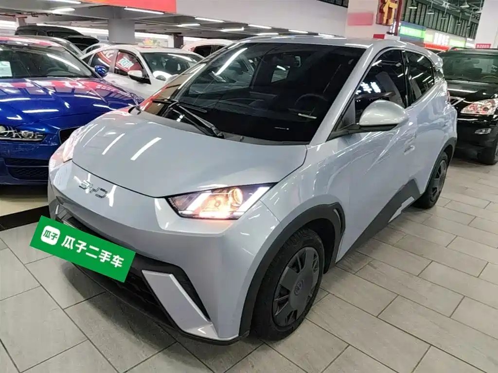 BYD Seagull 2024