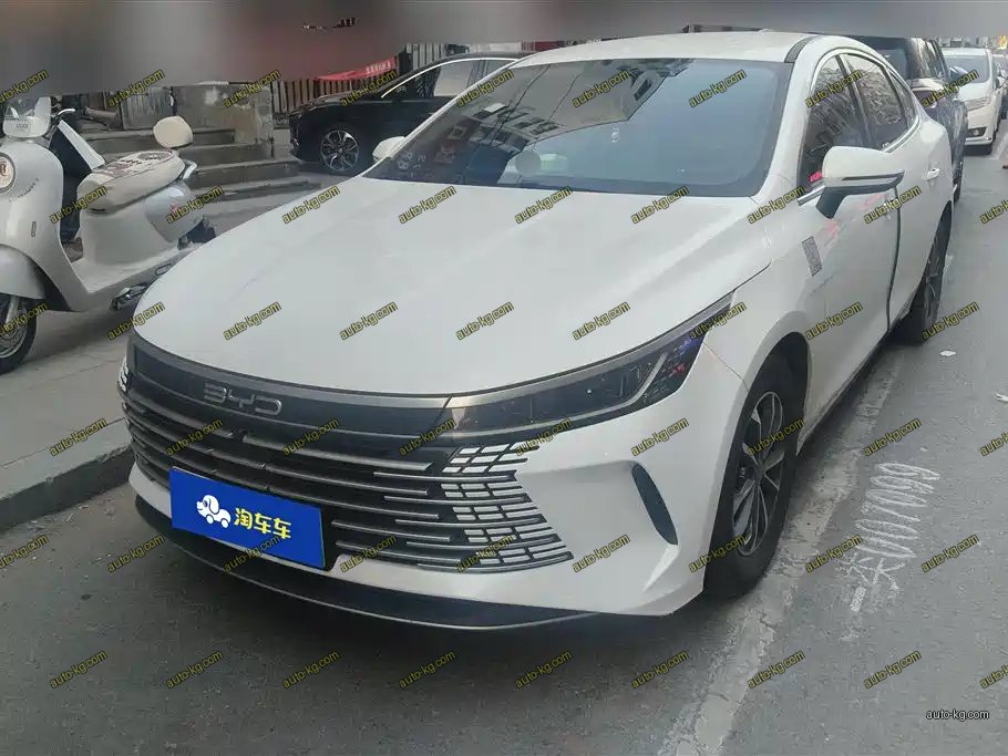 BYD Destroyer 05 2024