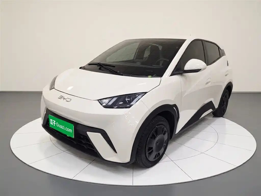 BYD Seagull 2025