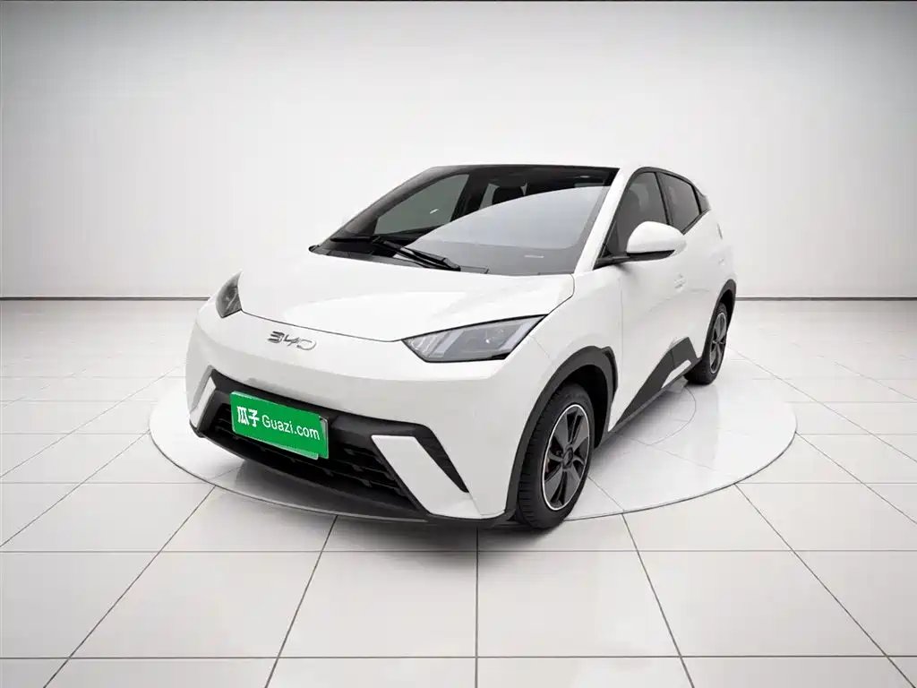 BYD Seagull 2025