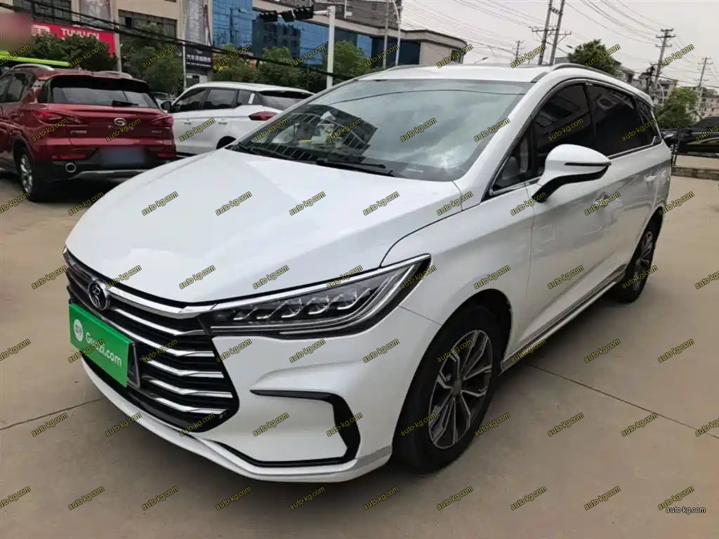 BYD MAX 2022