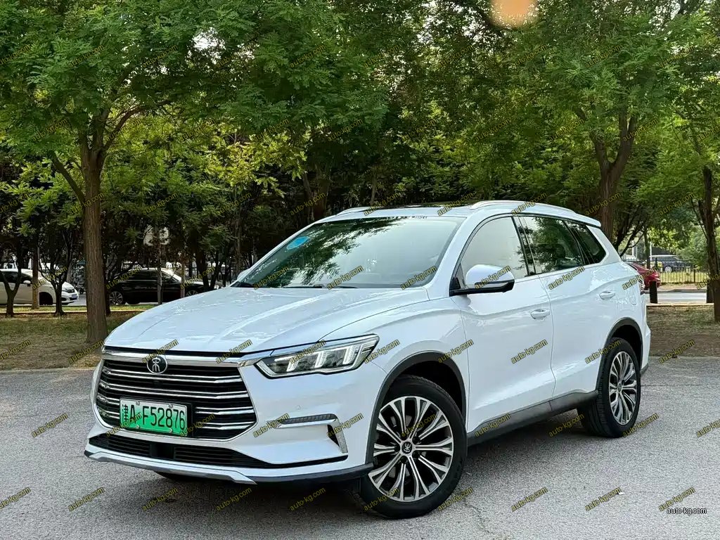 BYD Pro New Energy 2020