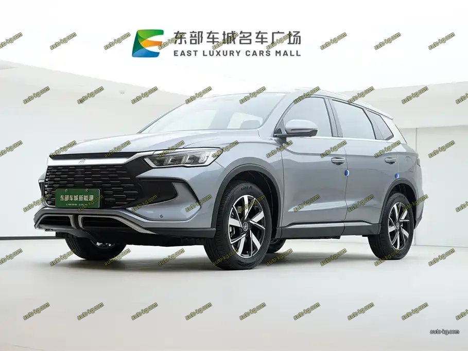 BYD Pro New Energy 2024