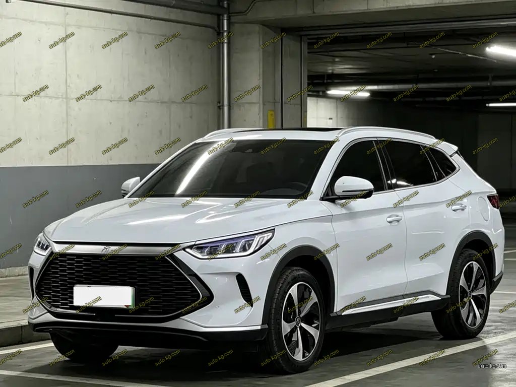BYD PLUS New Energy 2022