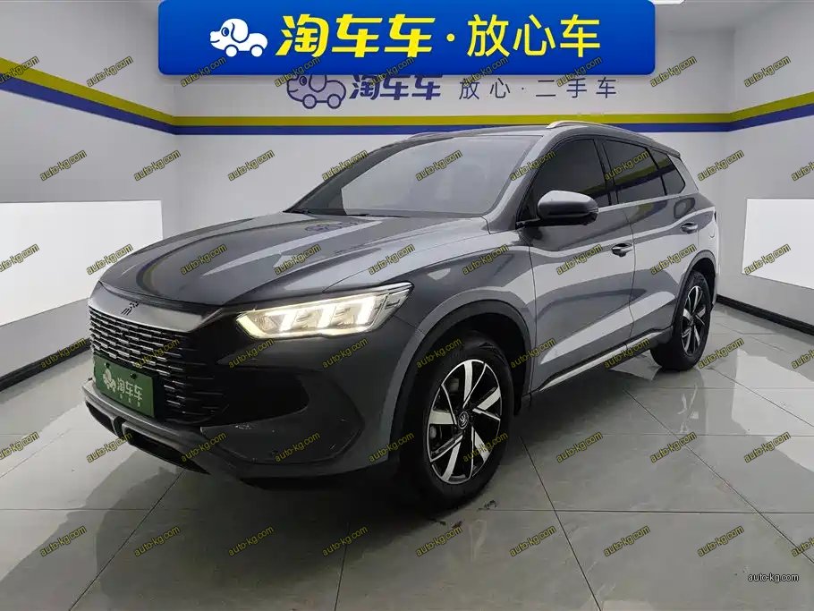BYD Pro New Energy 2024