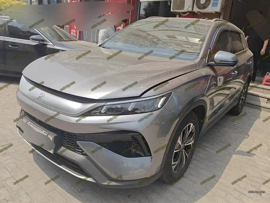 BYD Pro New Energy 2025