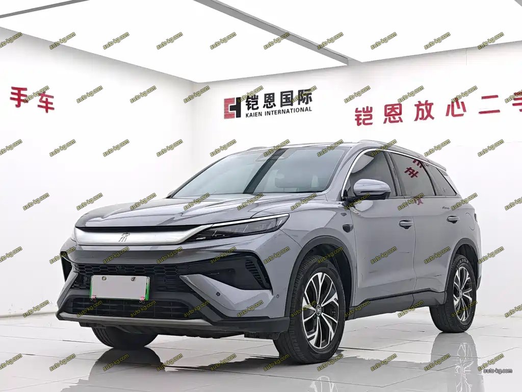 BYD Pro New Energy 2025