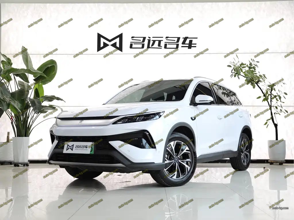 BYD Pro New Energy 2025