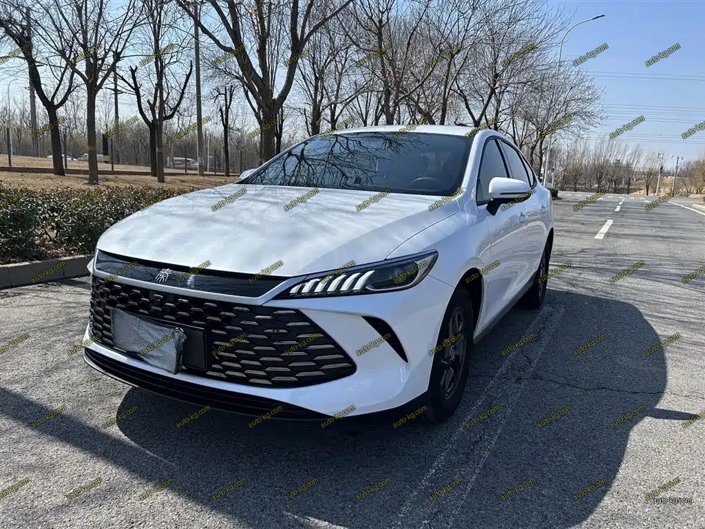 BYD Qin PLUS 2025