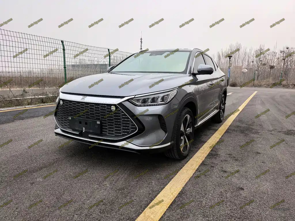 BYD PLUS New Energy 2023
