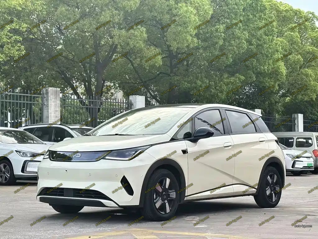 BYD Dolphin 2025
