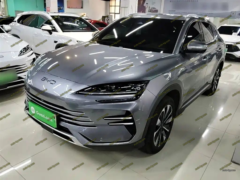 BYD PLUS New Energy 2024