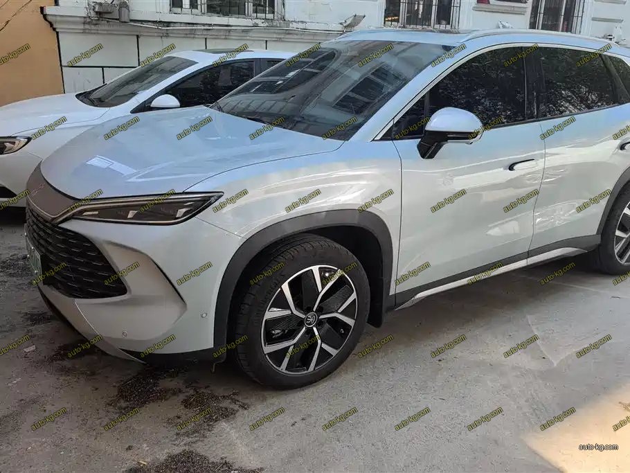 BYD L DM-i 2024