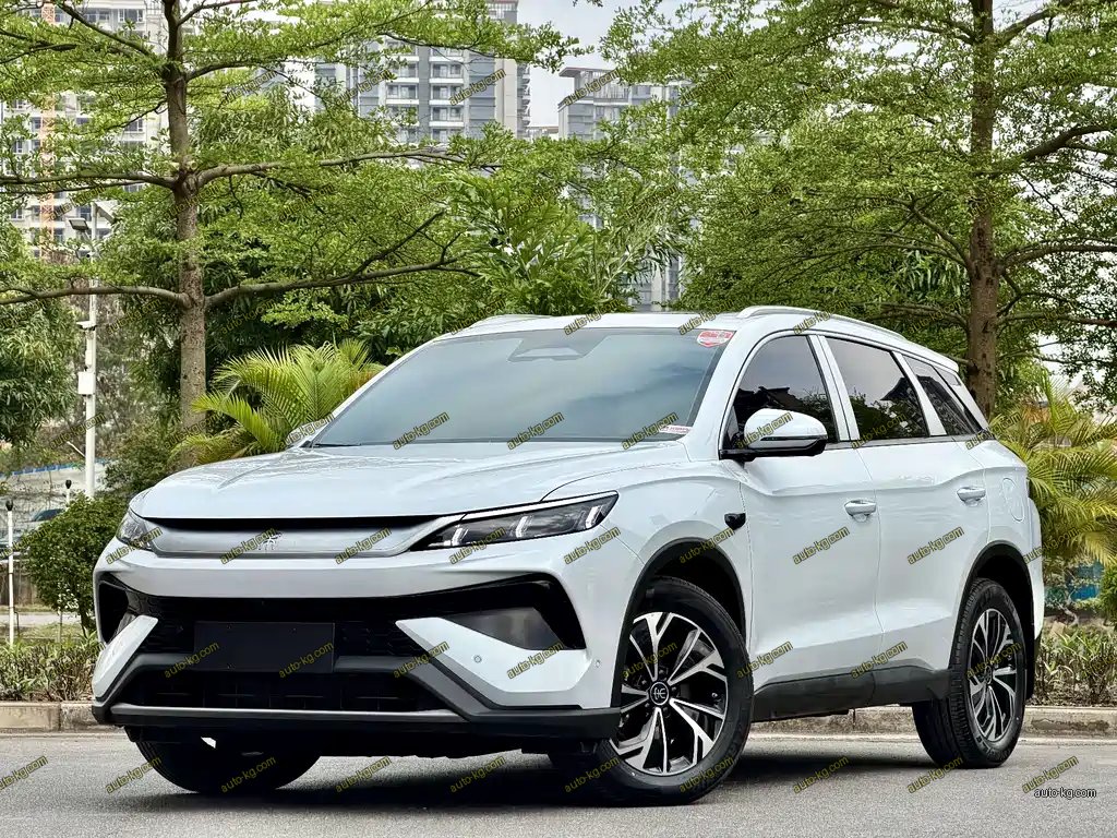 BYD Pro New Energy 2025
