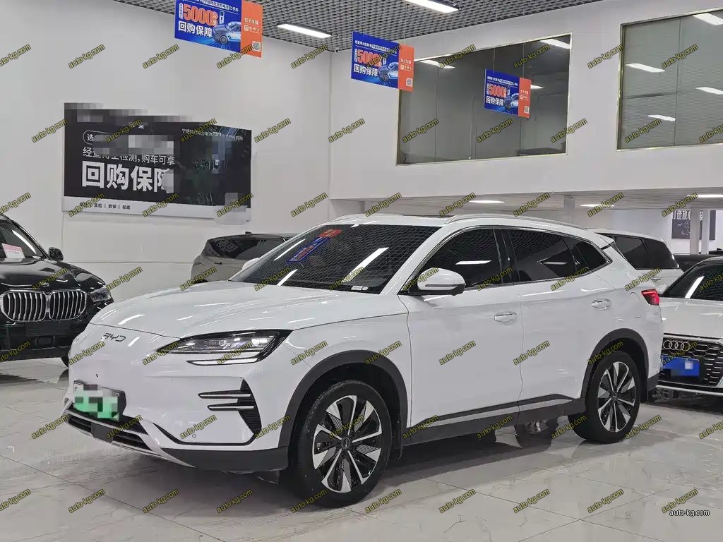 BYD PLUS New Energy 2024