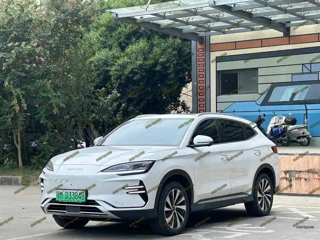BYD PLUS New Energy 2024