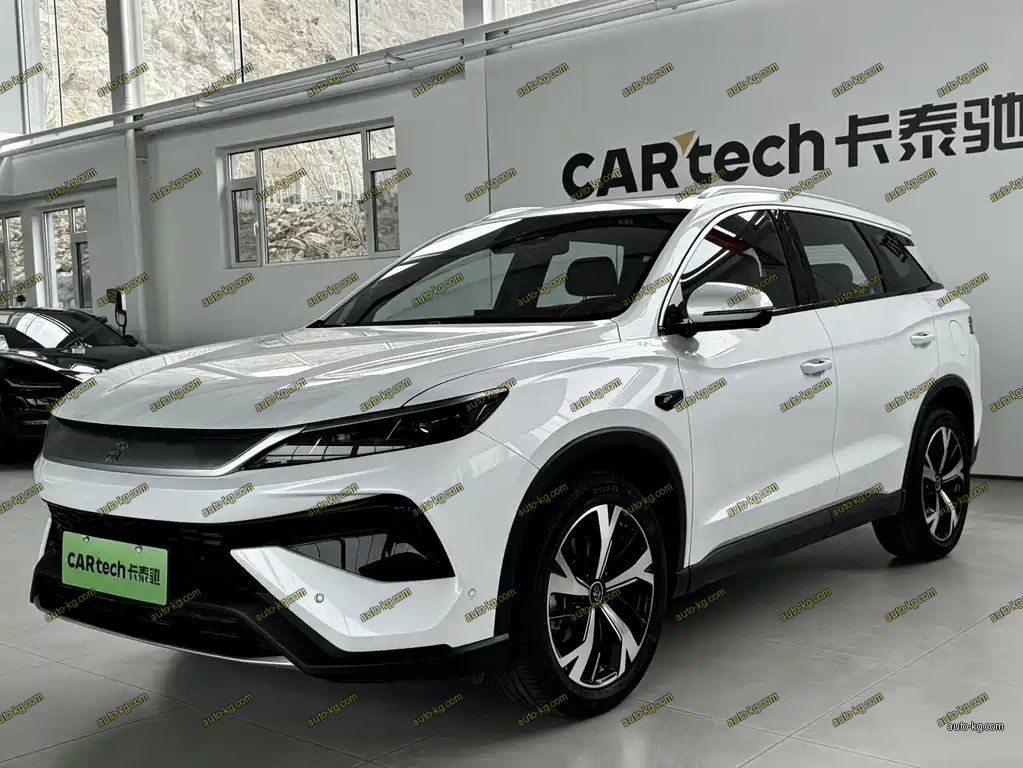 BYD Pro New Energy 2025