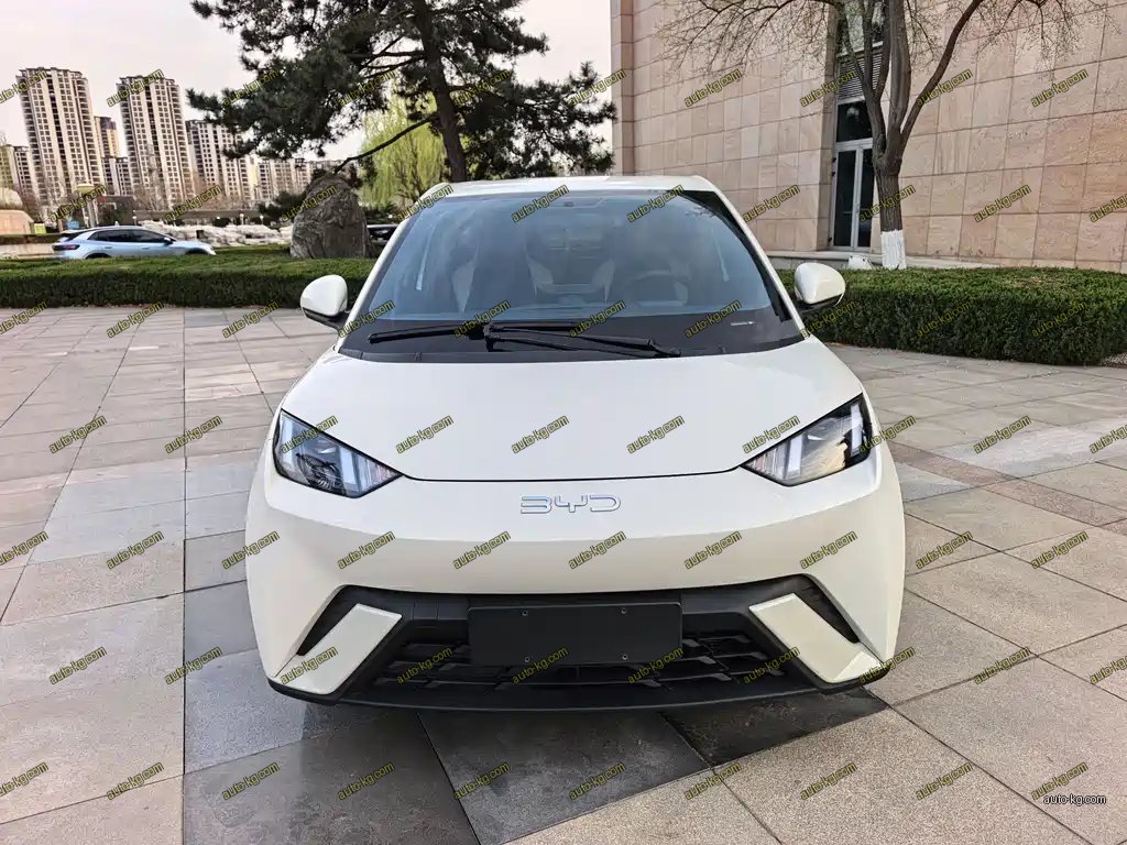 BYD Seagull 2024