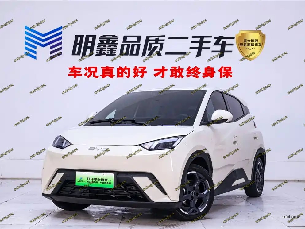 BYD Seagull 2025