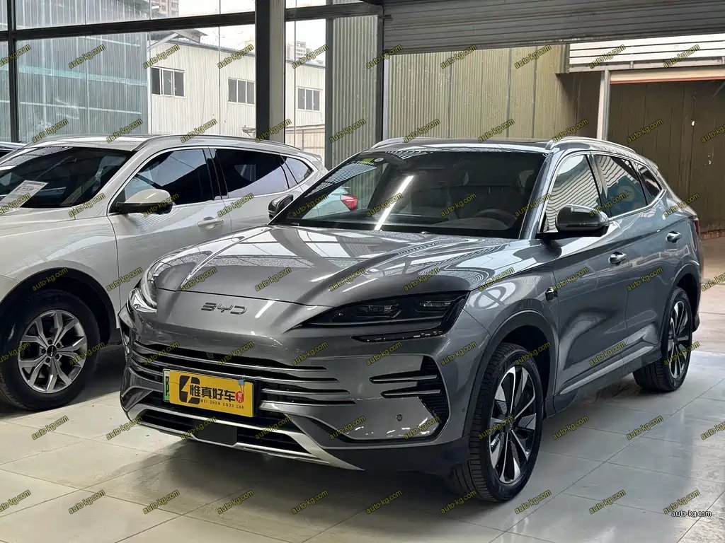 BYD PLUS New Energy 2025