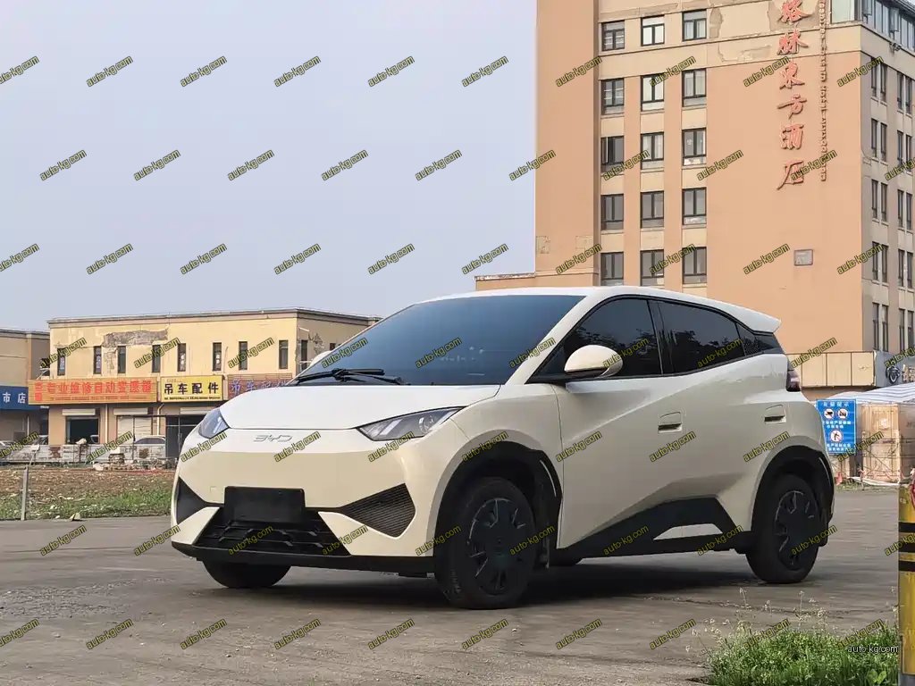 BYD Seagull 2025