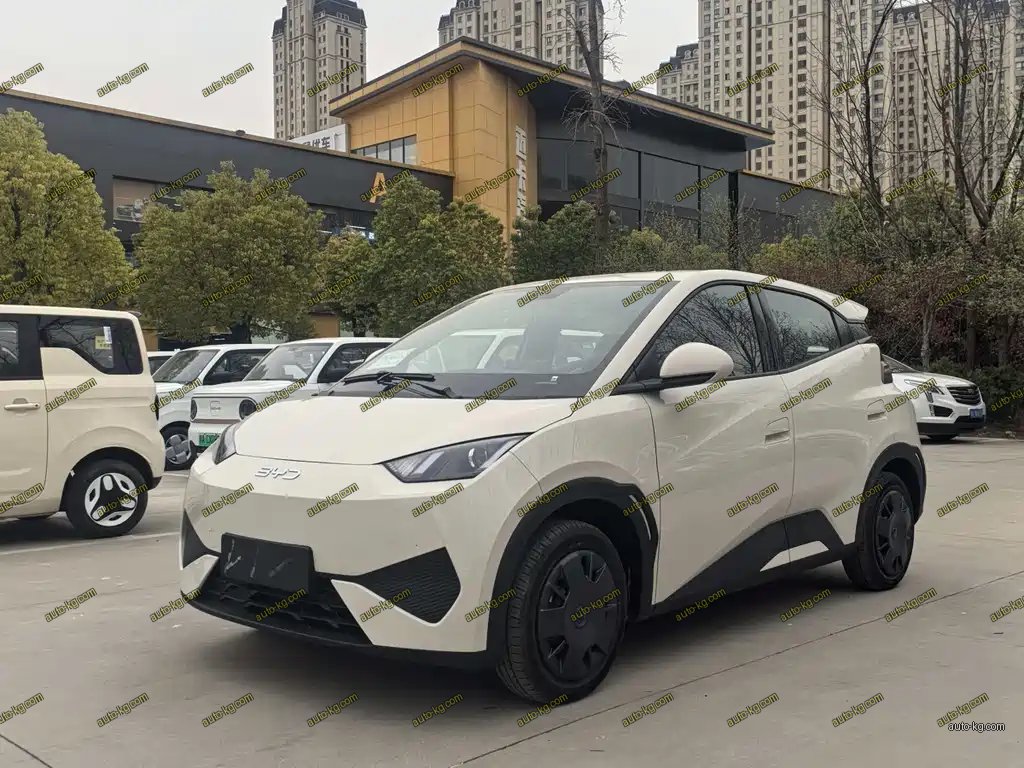 BYD Seagull 2026