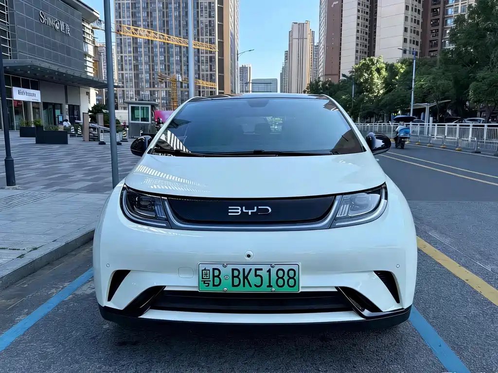 BYD Dolphin 2024